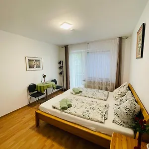 Shelby Apartment